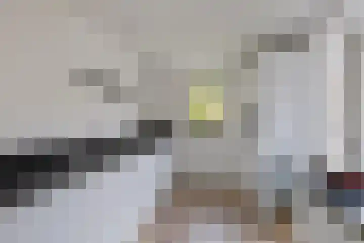Kievitspad 9 Amersfoort thumbnail 11