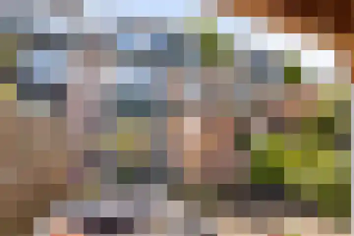 Kievitspad 9 Amersfoort thumbnail 24
