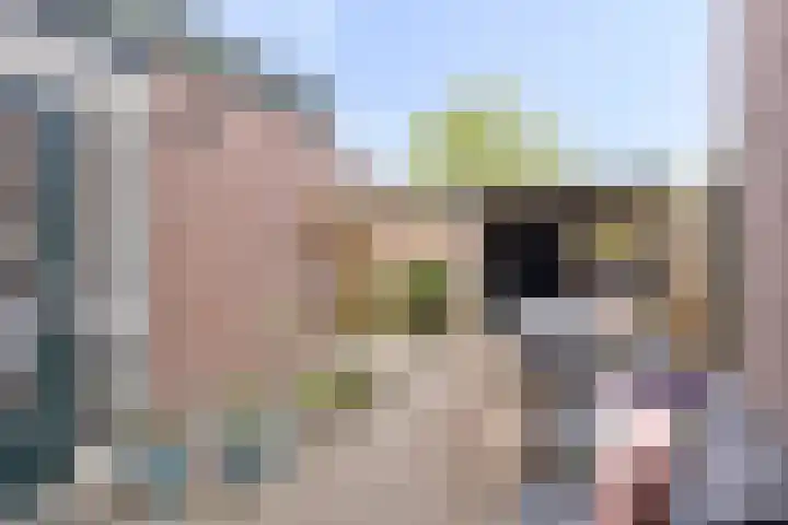 Kievitspad 9 Amersfoort thumbnail 25