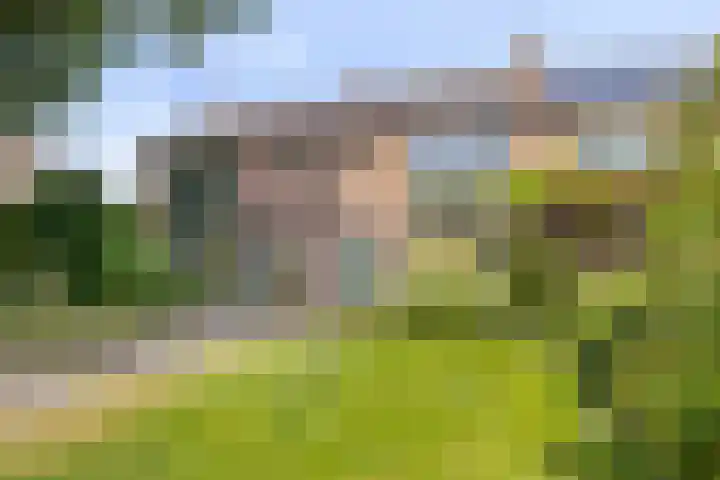Kievitspad 9 Amersfoort thumbnail 28