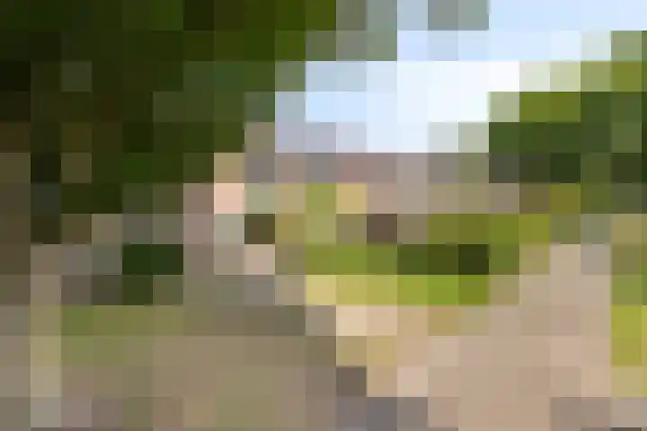 Kievitspad 9 Amersfoort thumbnail 29