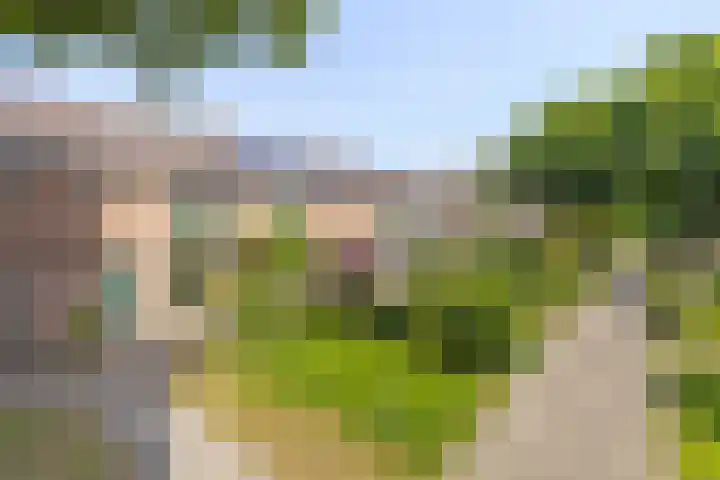 Kievitspad 9 Amersfoort thumbnail 31