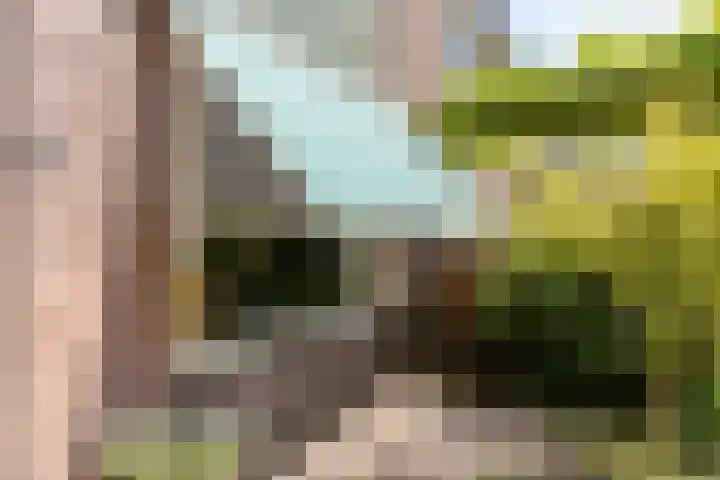 Kievitspad 9 Amersfoort thumbnail 32