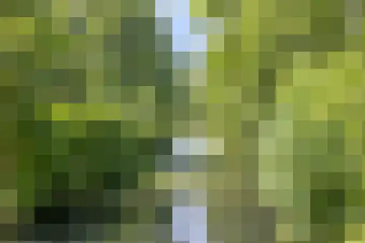 Kievitspad 9 Amersfoort thumbnail 33