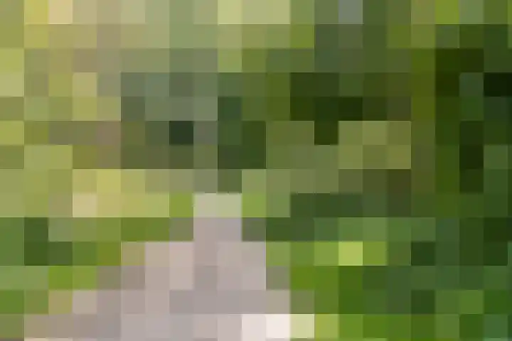 Kievitspad 9 Amersfoort thumbnail 34
