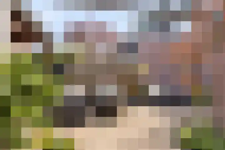 Kievitspad 9 Amersfoort thumbnail 4