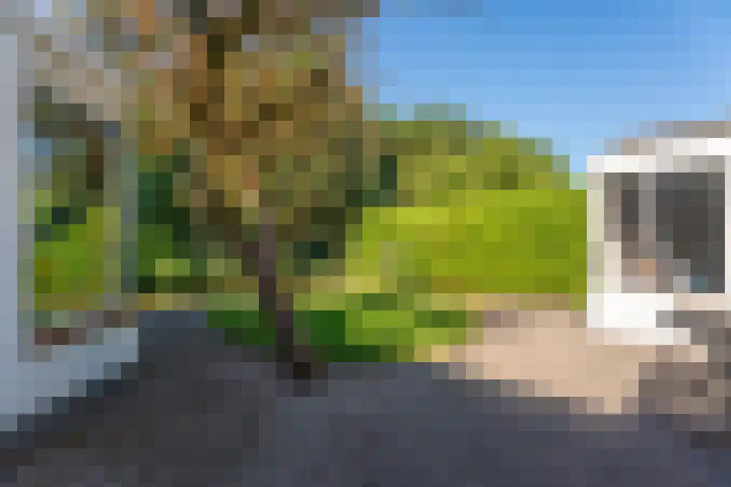 Kievitspark 48 Voorhout thumbnail 27