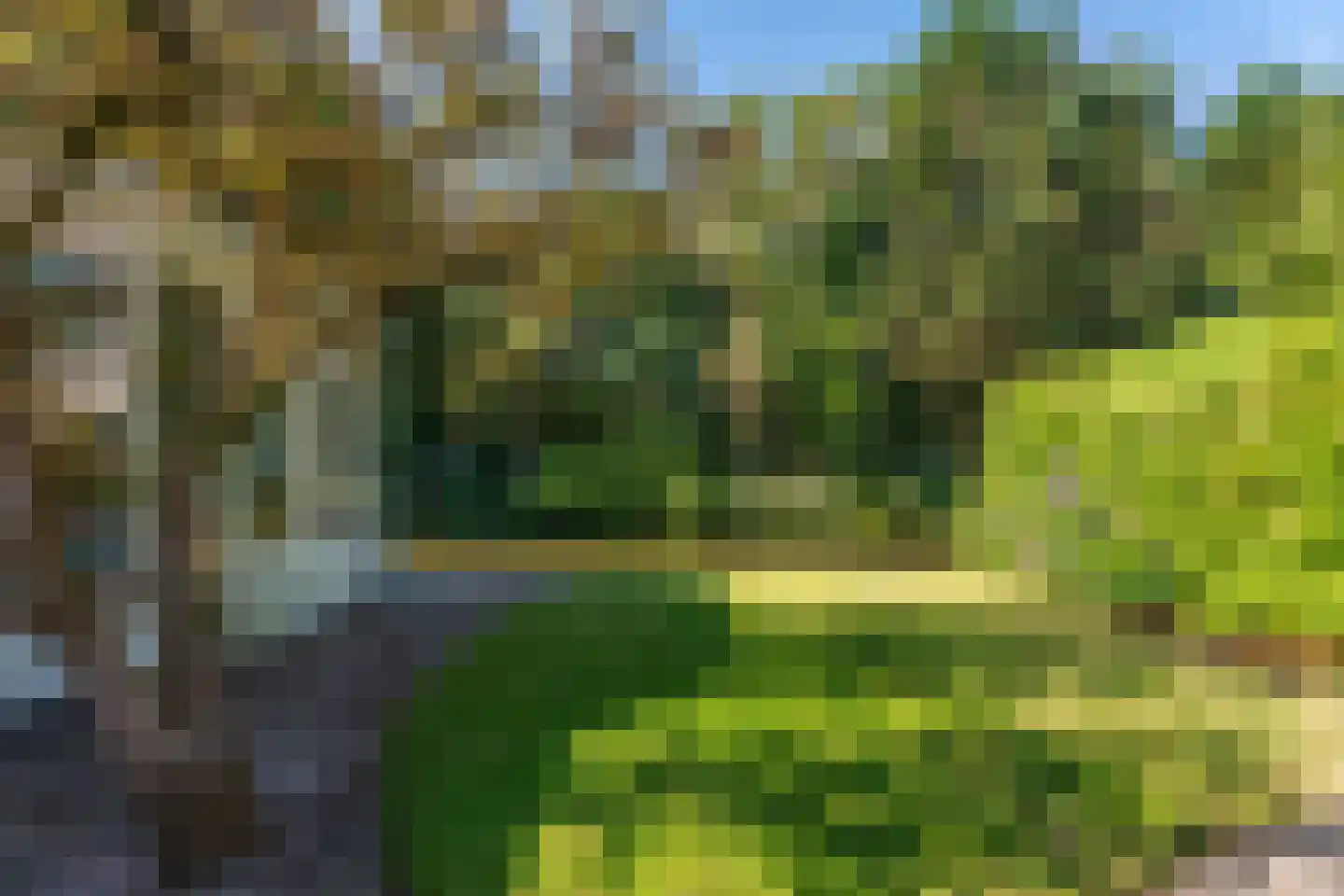 Kievitspark 48 Voorhout thumbnail 28