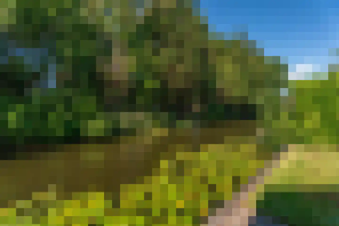 Kievitspark 48 Voorhout thumbnail 31
