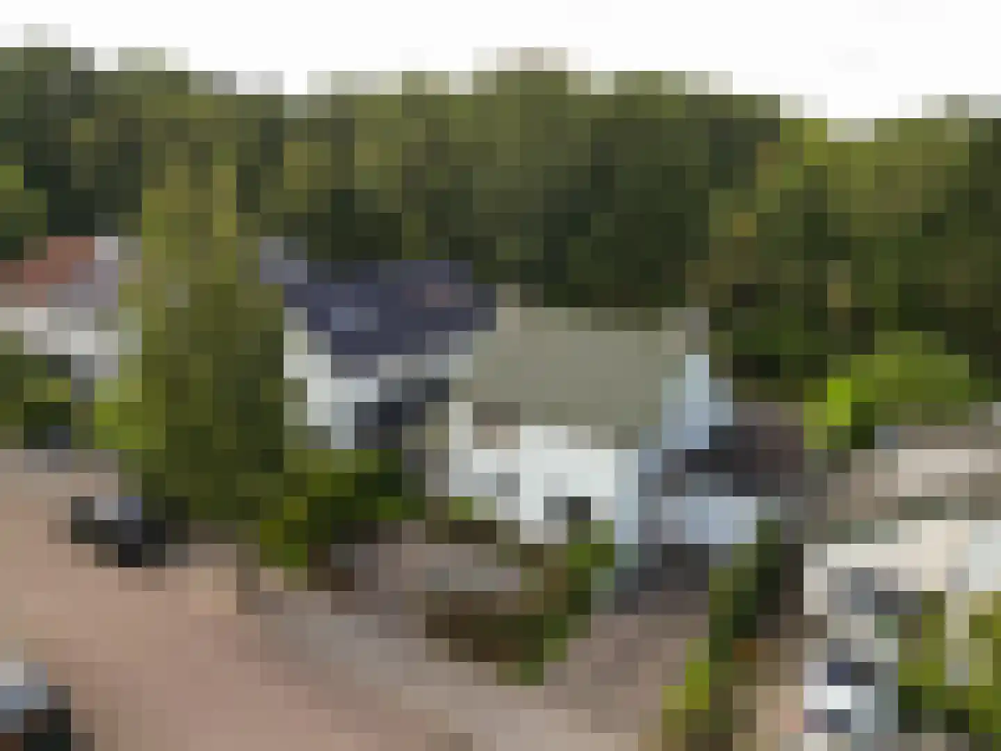 Kievitspark 48 Voorhout thumbnail 37