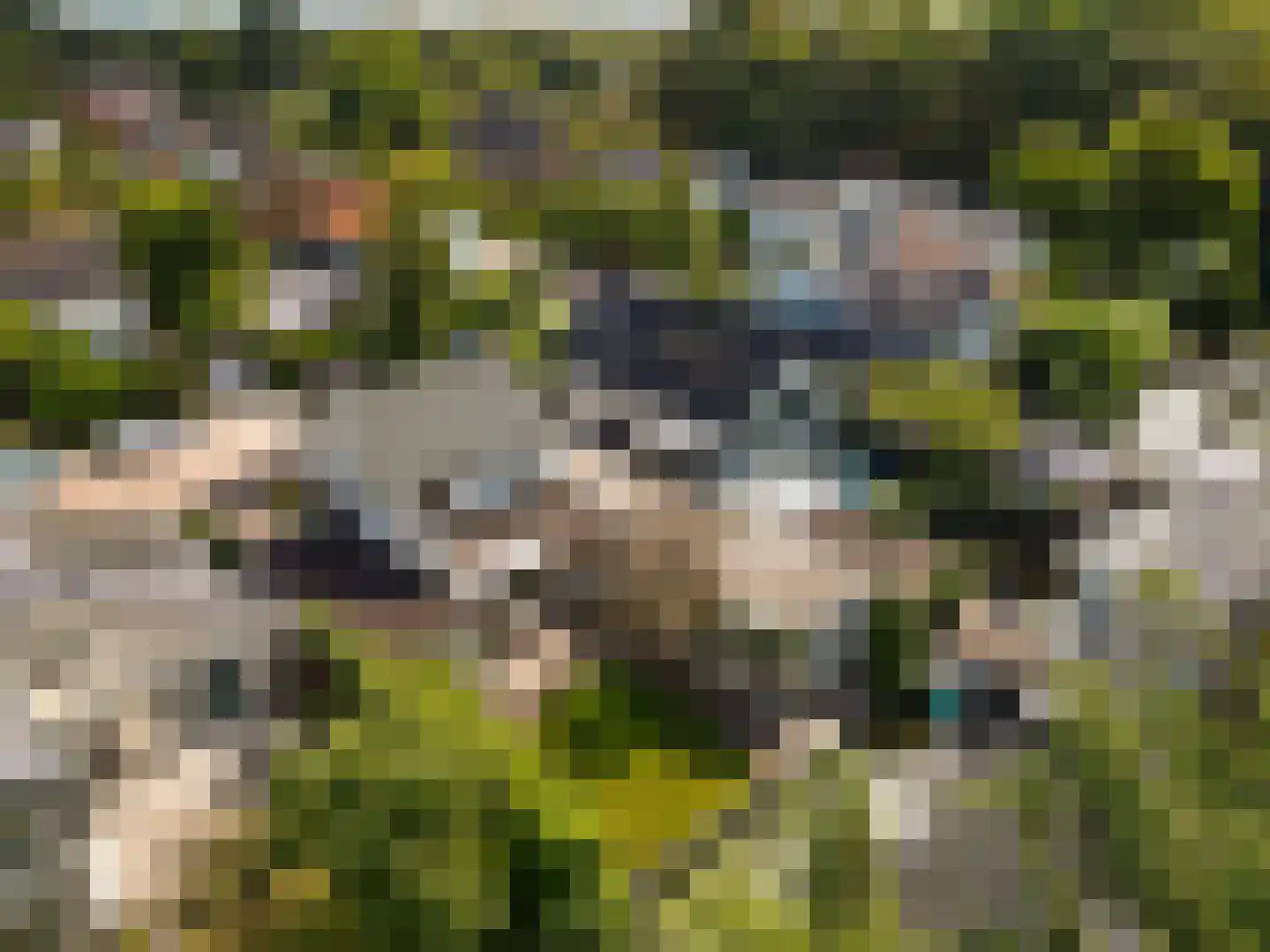 Kievitspark 48 Voorhout thumbnail 39