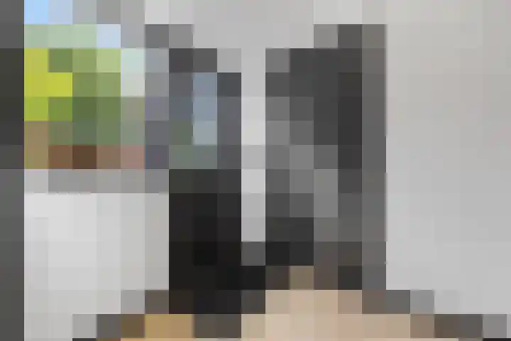 Kievitsstraat 17 Voorthuizen thumbnail 17