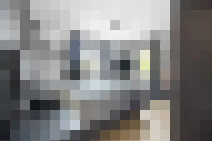 Kievitsstraat 17 Voorthuizen thumbnail 21