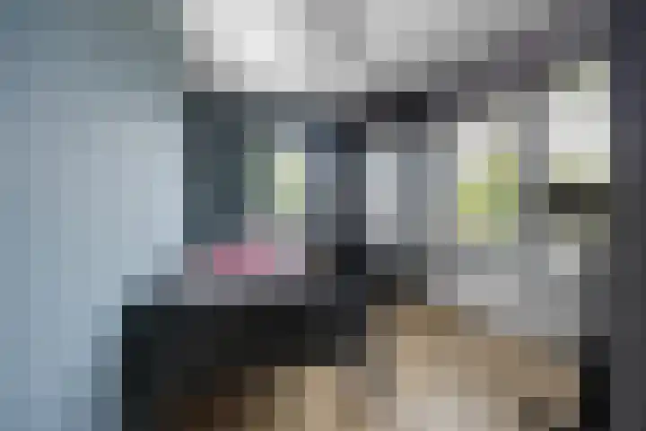 Kievitsstraat 17 Voorthuizen thumbnail 23