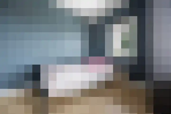 Kievitsstraat 17 Voorthuizen thumbnail 24