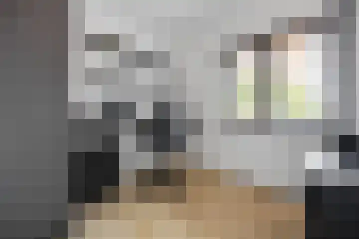 Kievitsstraat 17 Voorthuizen thumbnail 25