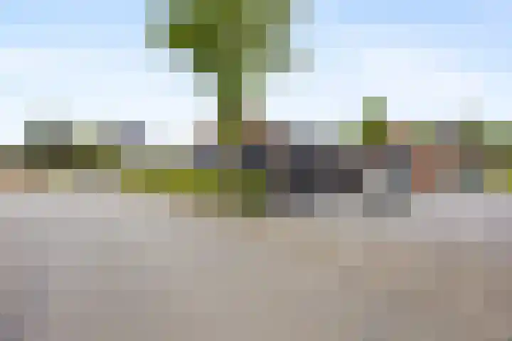 Kievitsstraat 17 Voorthuizen thumbnail 43