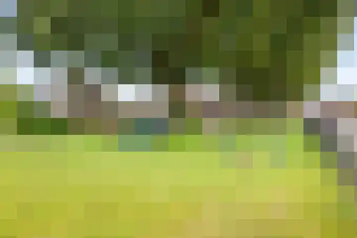 Kievitsstraat 17 Voorthuizen thumbnail 47