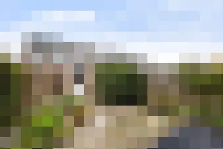Kievitstraat 1 Maassluis thumbnail 20