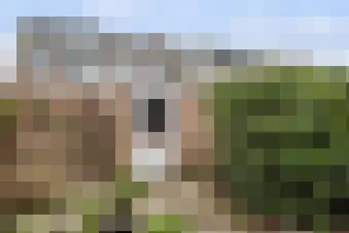 Kievitstraat 1 Maassluis thumbnail 21