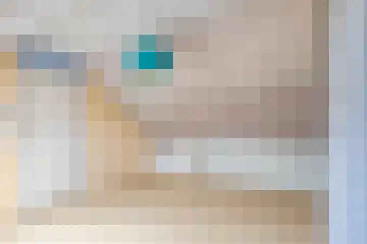 Kievitstraat 1 Maassluis thumbnail 37