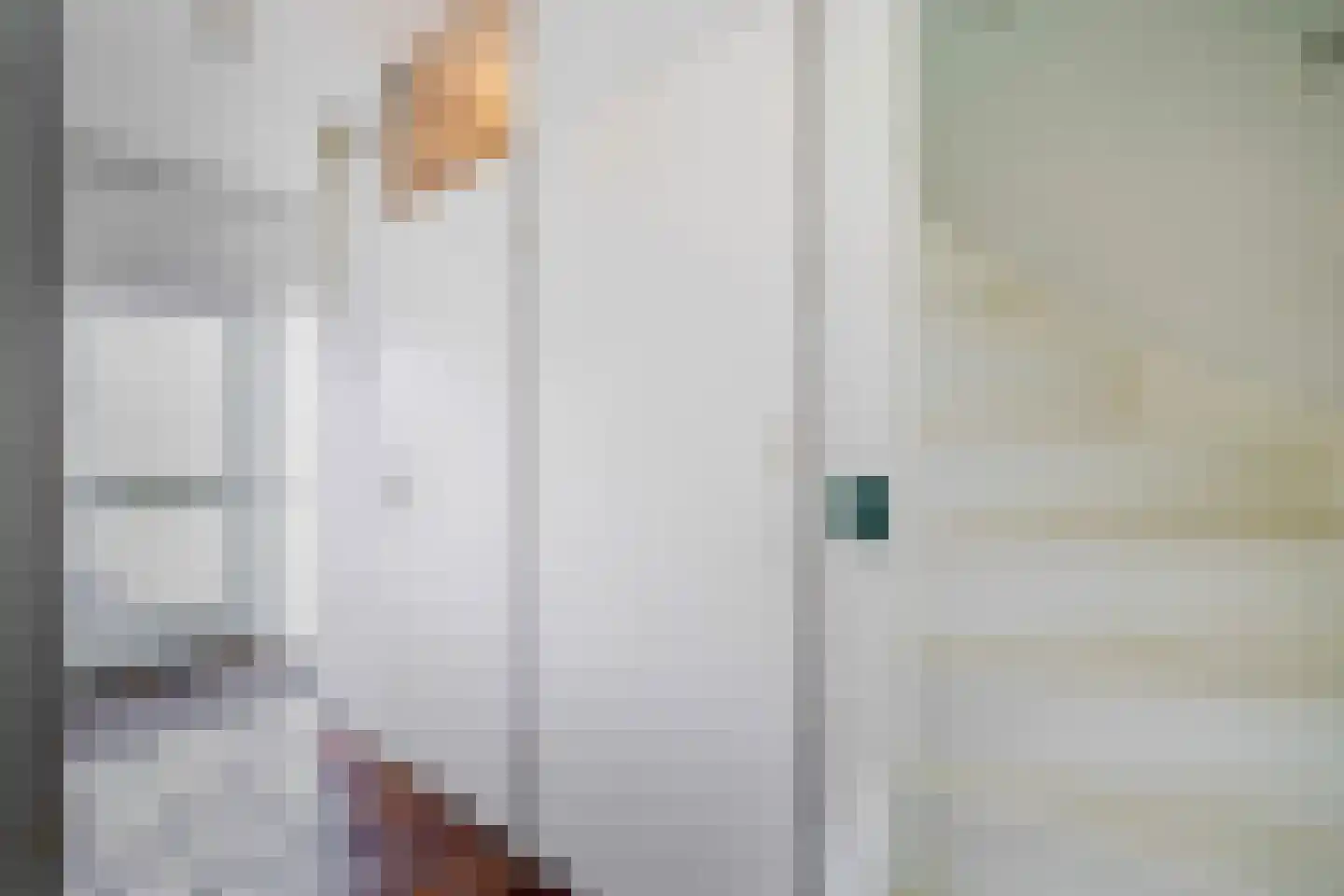 Kievitstraat 10 Anna Paulowna thumbnail 4