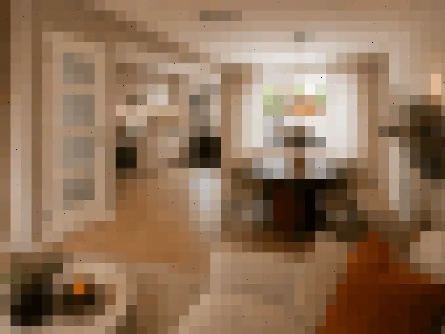Kievitstraat 10 Anna Paulowna thumbnail 8
