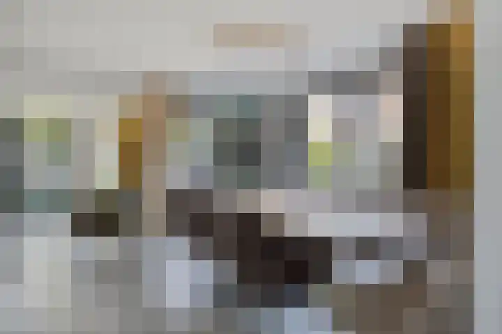 Kievitstraat 10 Fijnaart thumbnail 11