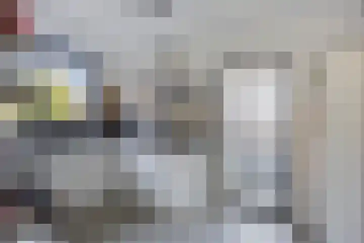 Kievitstraat 10 Fijnaart thumbnail 12