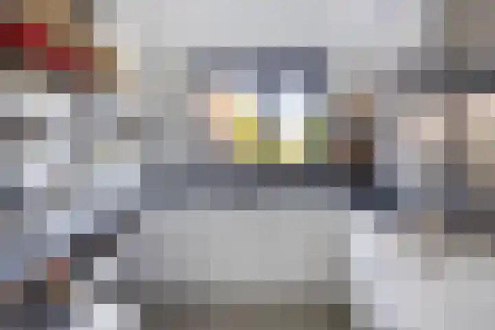 Kievitstraat 10 Fijnaart thumbnail 13