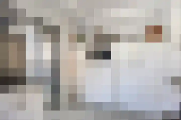 Kievitstraat 10 Fijnaart thumbnail 15