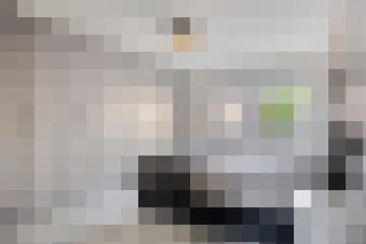 Kievitstraat 10 Fijnaart thumbnail 17