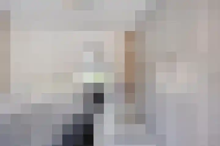 Kievitstraat 10 Fijnaart thumbnail 18