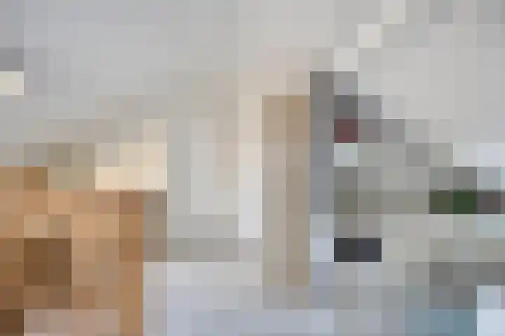 Kievitstraat 10 Fijnaart thumbnail 23