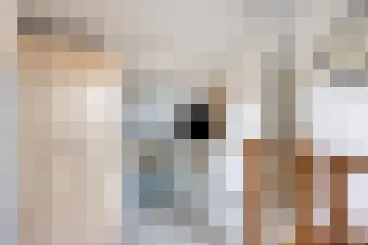Kievitstraat 10 Fijnaart thumbnail 24