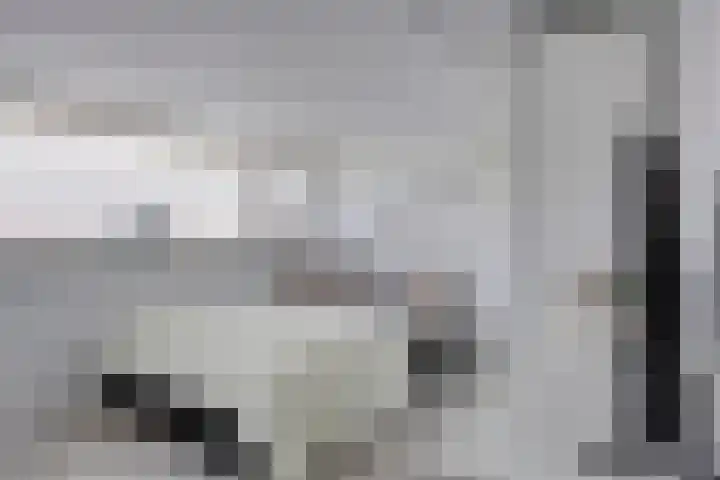 Kievitstraat 10 Fijnaart thumbnail 26