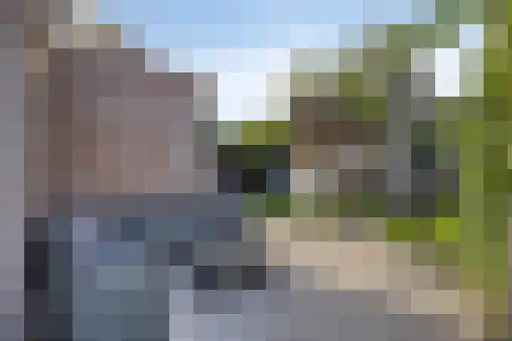 Kievitstraat 10 Fijnaart thumbnail 35