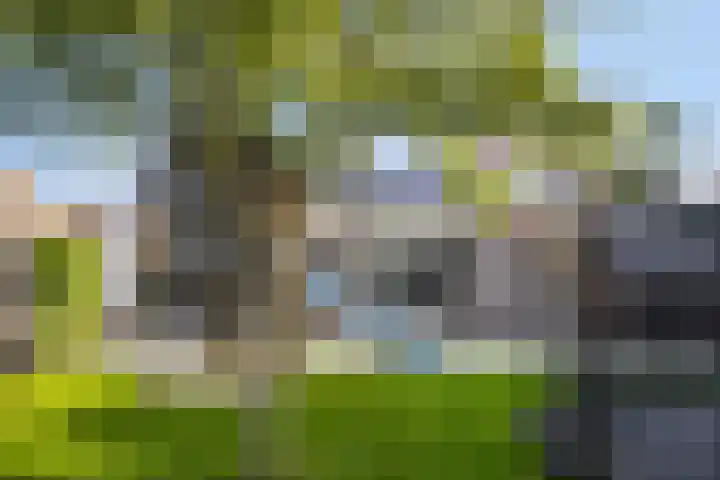 Kievitstraat 10 Fijnaart thumbnail 39