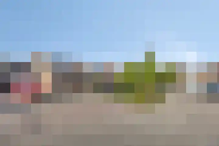 Kievitstraat 10 Fijnaart thumbnail 4