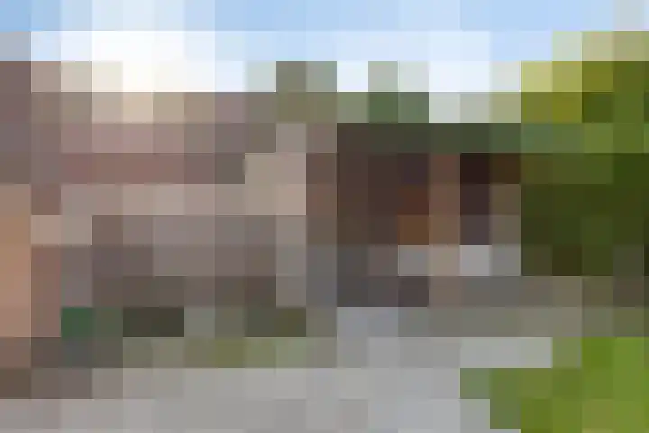 Kievitstraat 10 Fijnaart thumbnail 41