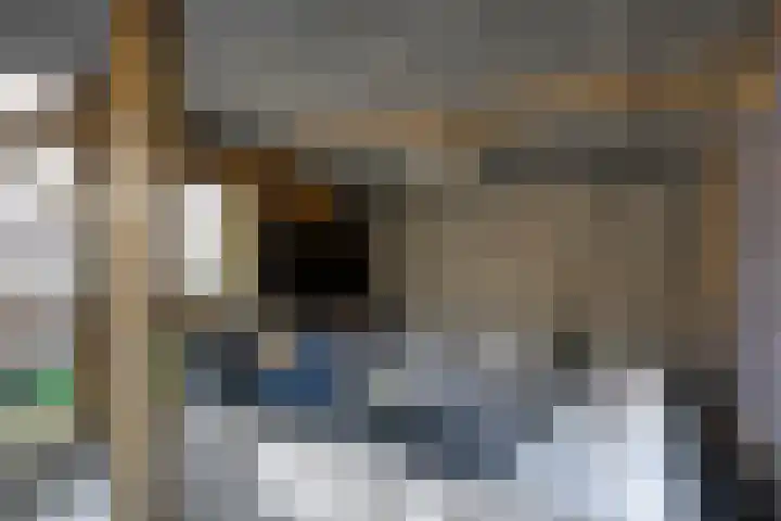 Kievitstraat 10 Fijnaart thumbnail 42
