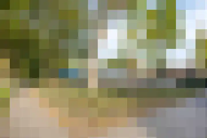 Kievitstraat 10 Fijnaart thumbnail 43
