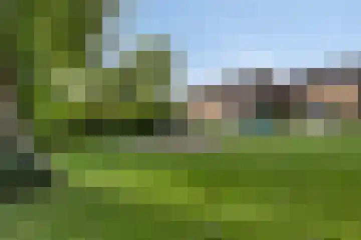 Kievitstraat 10 Fijnaart thumbnail 44