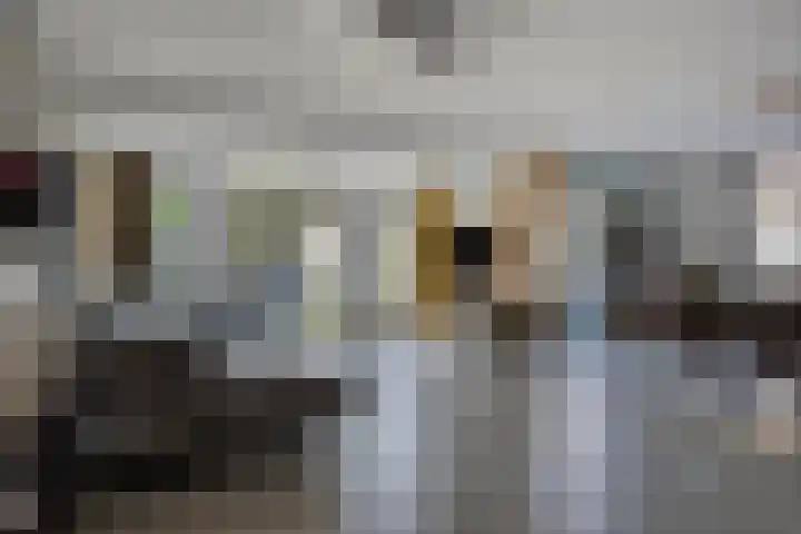 Kievitstraat 10 Fijnaart thumbnail 8