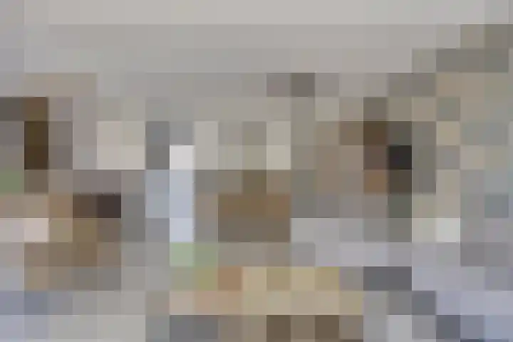 Kievitstraat 10 Fijnaart thumbnail 9