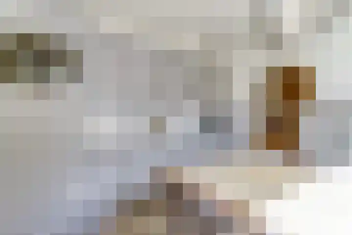 Kievitstraat 10 Reusel thumbnail 10