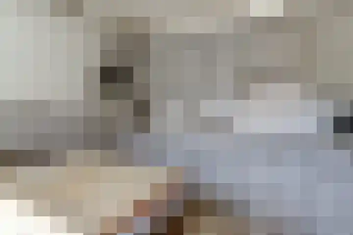 Kievitstraat 10 Reusel thumbnail 11