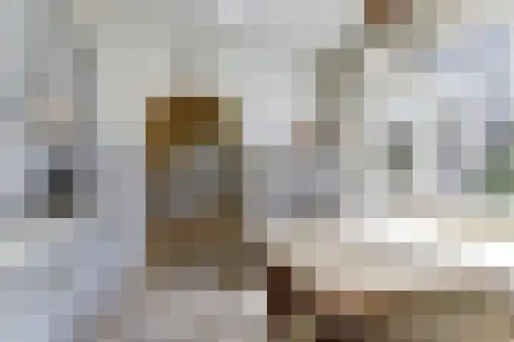 Kievitstraat 10 Reusel thumbnail 12