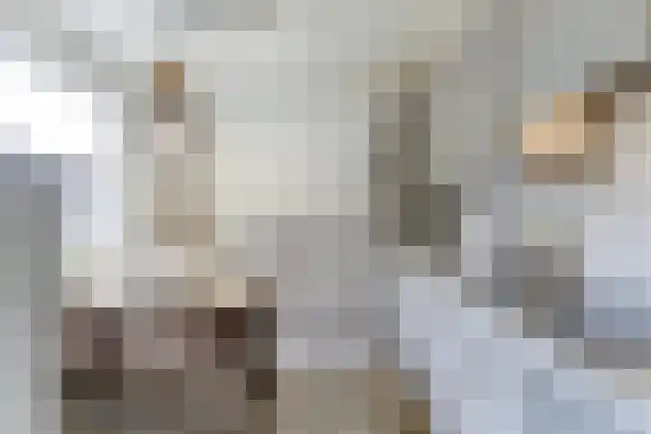 Kievitstraat 10 Reusel thumbnail 13