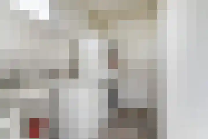 Kievitstraat 10 Reusel thumbnail 14